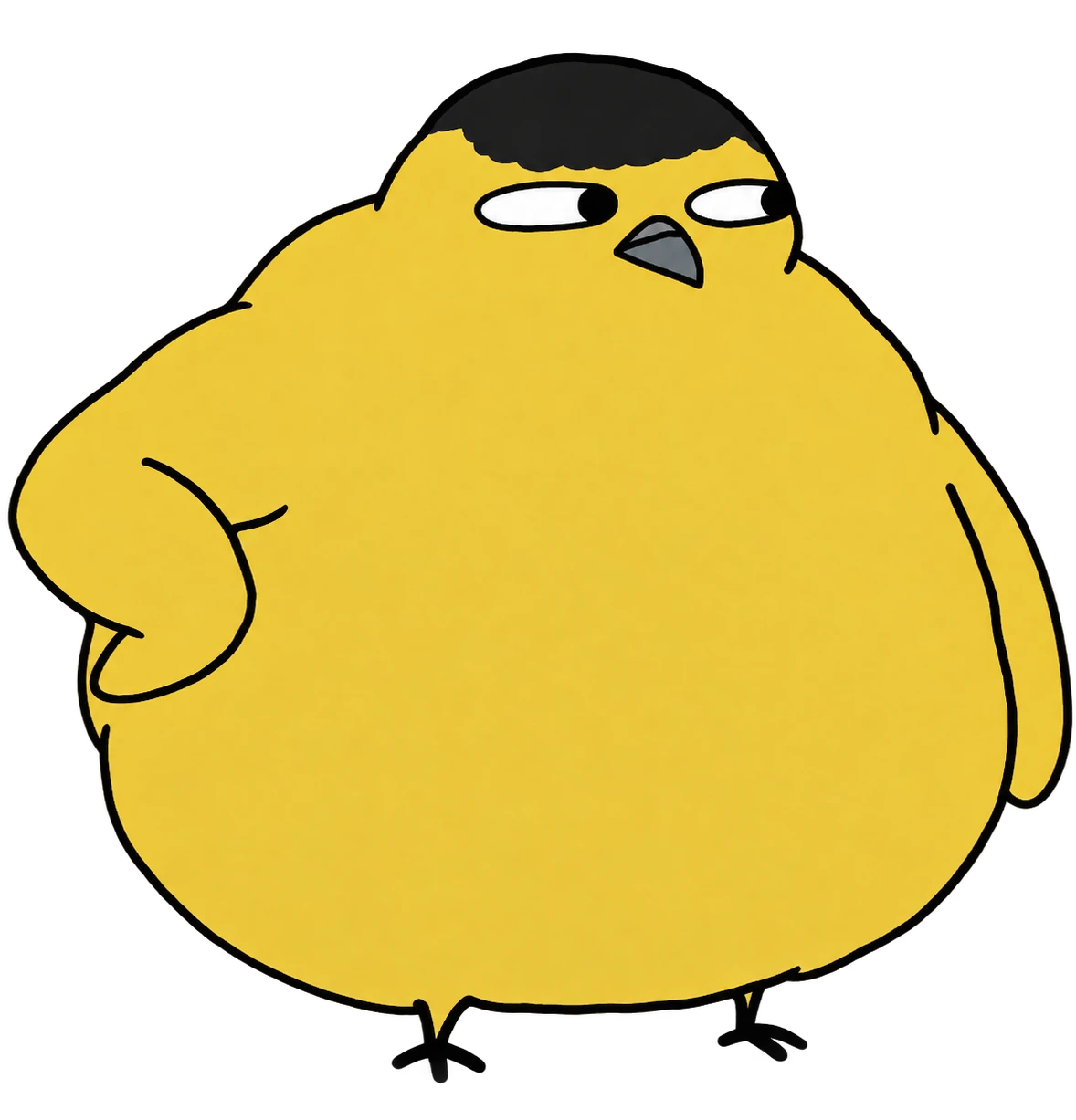 a very round yellow birb with a suspicious stare